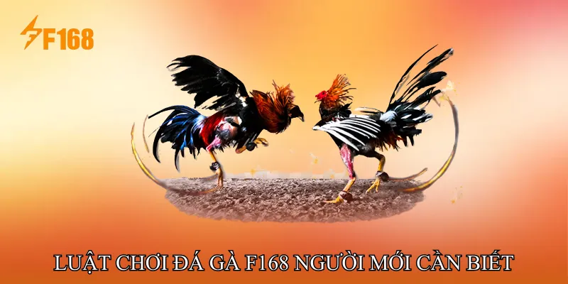 Luật Chơi Đá Gà F168 Người Mới Cần Biết